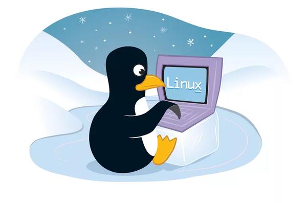 How to Install and Run Linux on a Chromebook